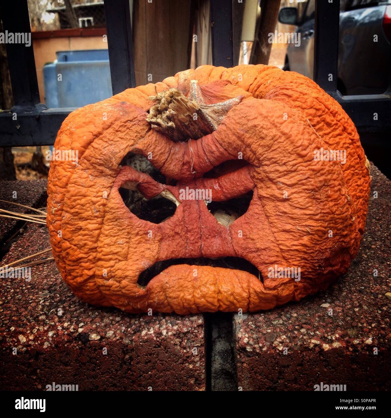 La zucca con un cipiglio - Immagine stock catturata con smartphone