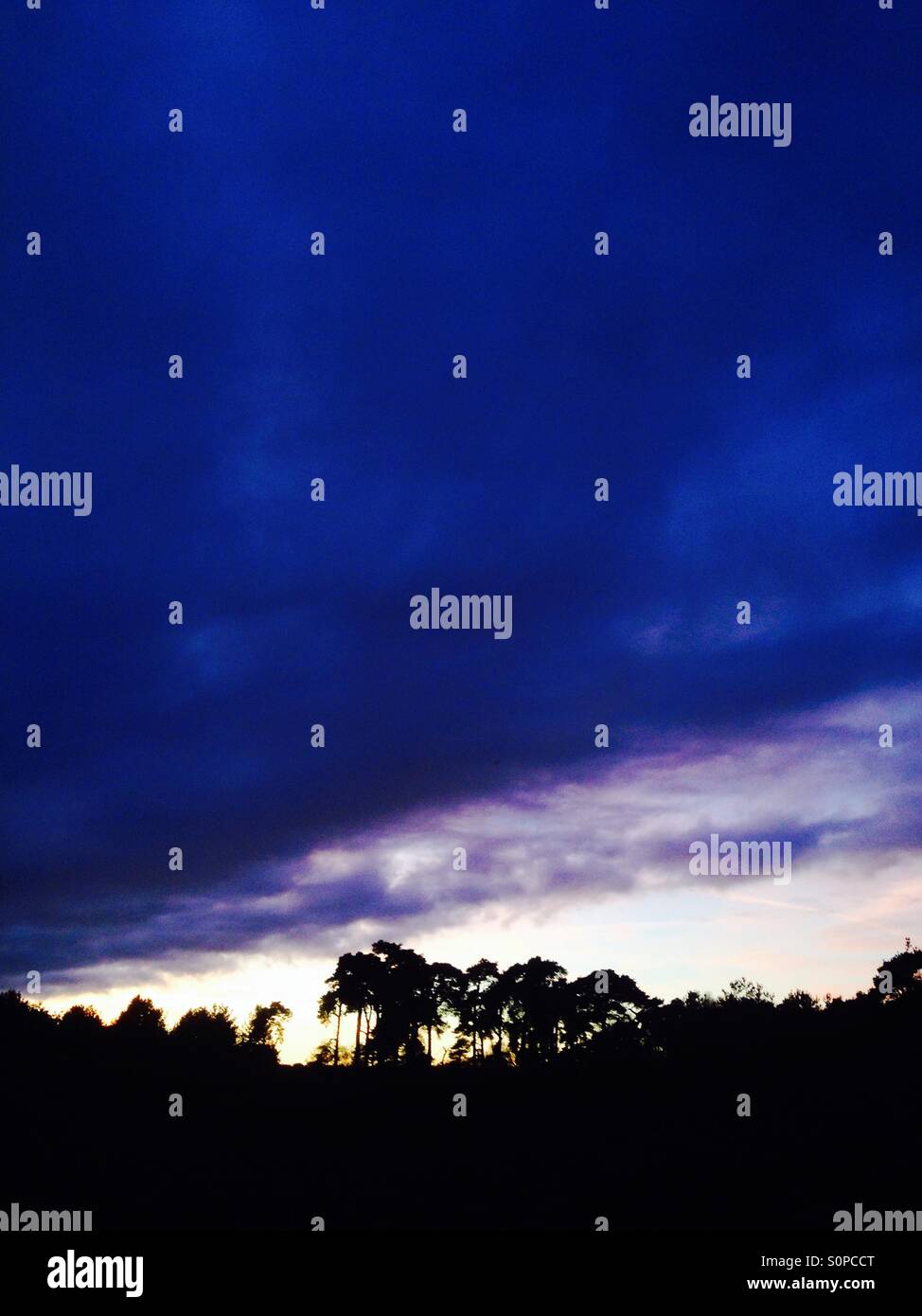 Nube sulla foresta di Rendlesham Suffolk REGNO UNITO Foto Stock