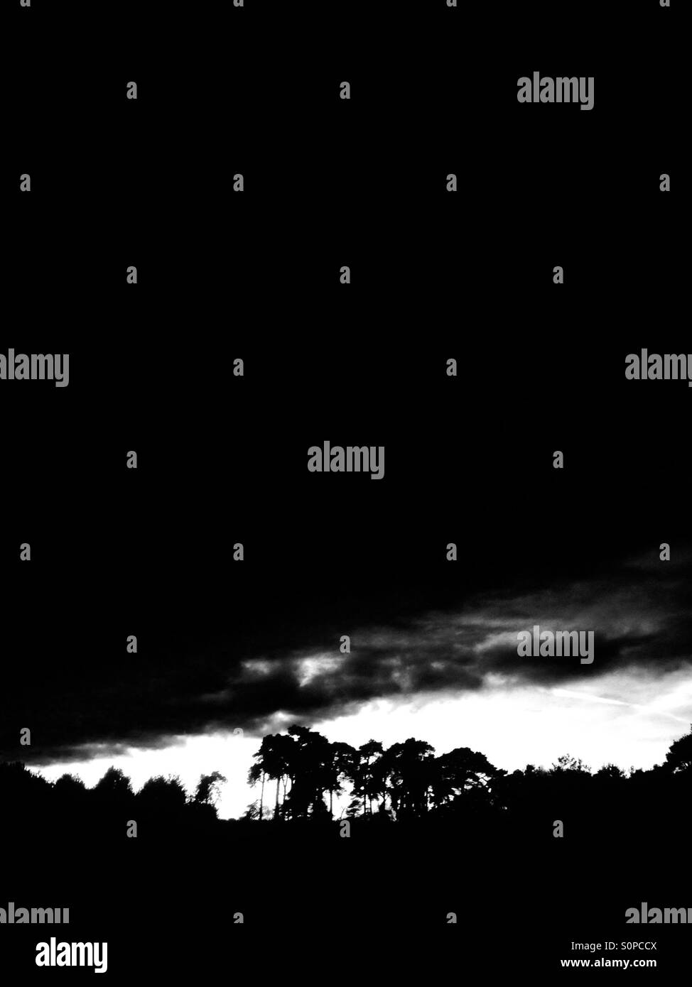 Pioggia nuvole sulla foresta di Rendlesham Suffolk in Inghilterra Foto Stock