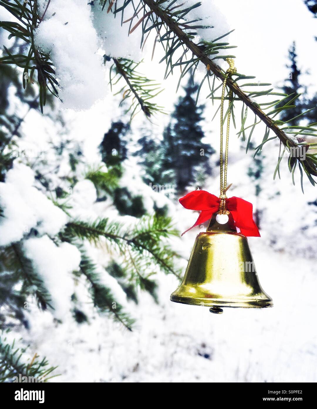 Decorazione per albero di Natale campana con nastro rosso appeso sulla coperta di neve albero sempreverde filiale. Foto Stock