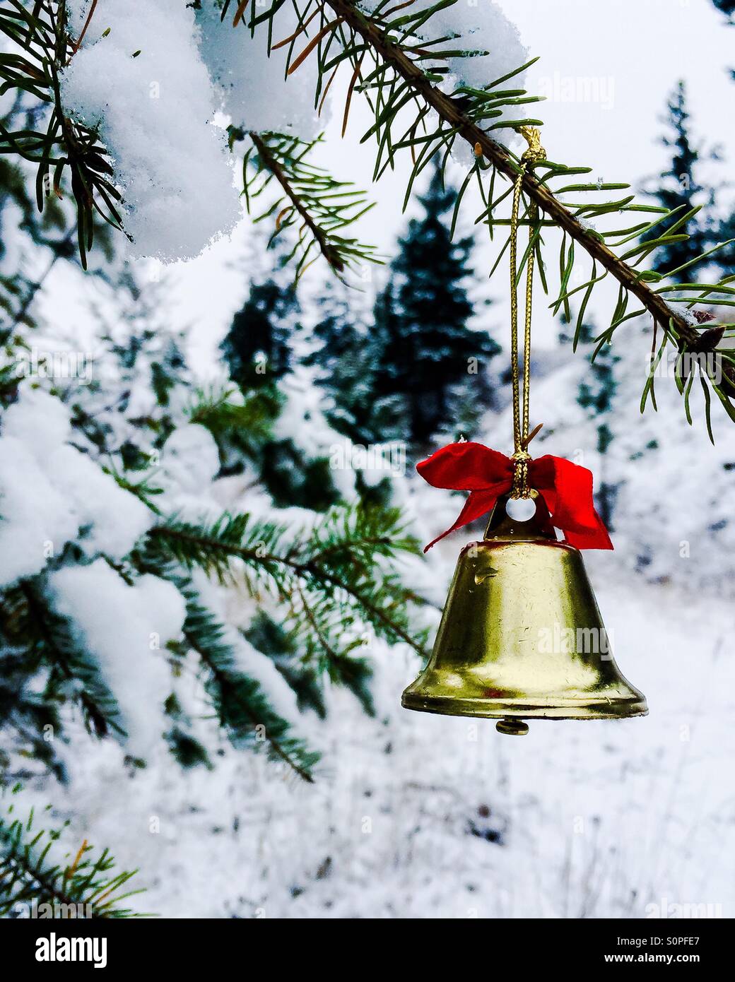 Un oro lucido campana di Natale si blocca su una coperta di neve ramo di albero nella foresta d'inverno. Foto Stock