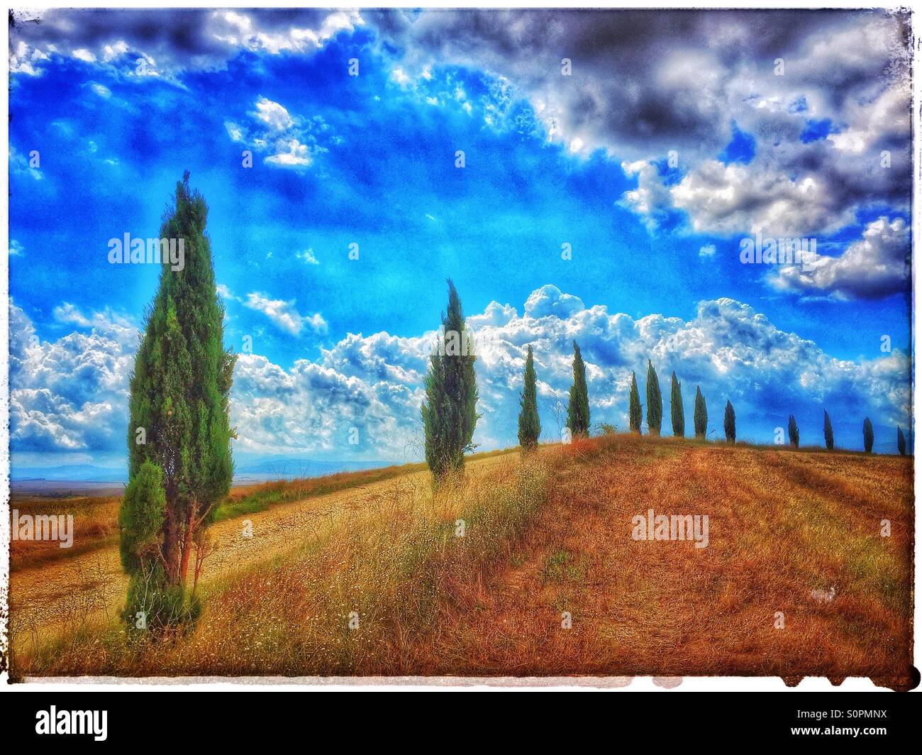 Una pista sterrata fiancheggiata dall'iconico Cipressi vicino a Pienza, Toscana, Italia. Nuvole temporalesche brew, ma il raccolto è stato completato. Credito foto - © COLIN HOSKINS. Foto Stock