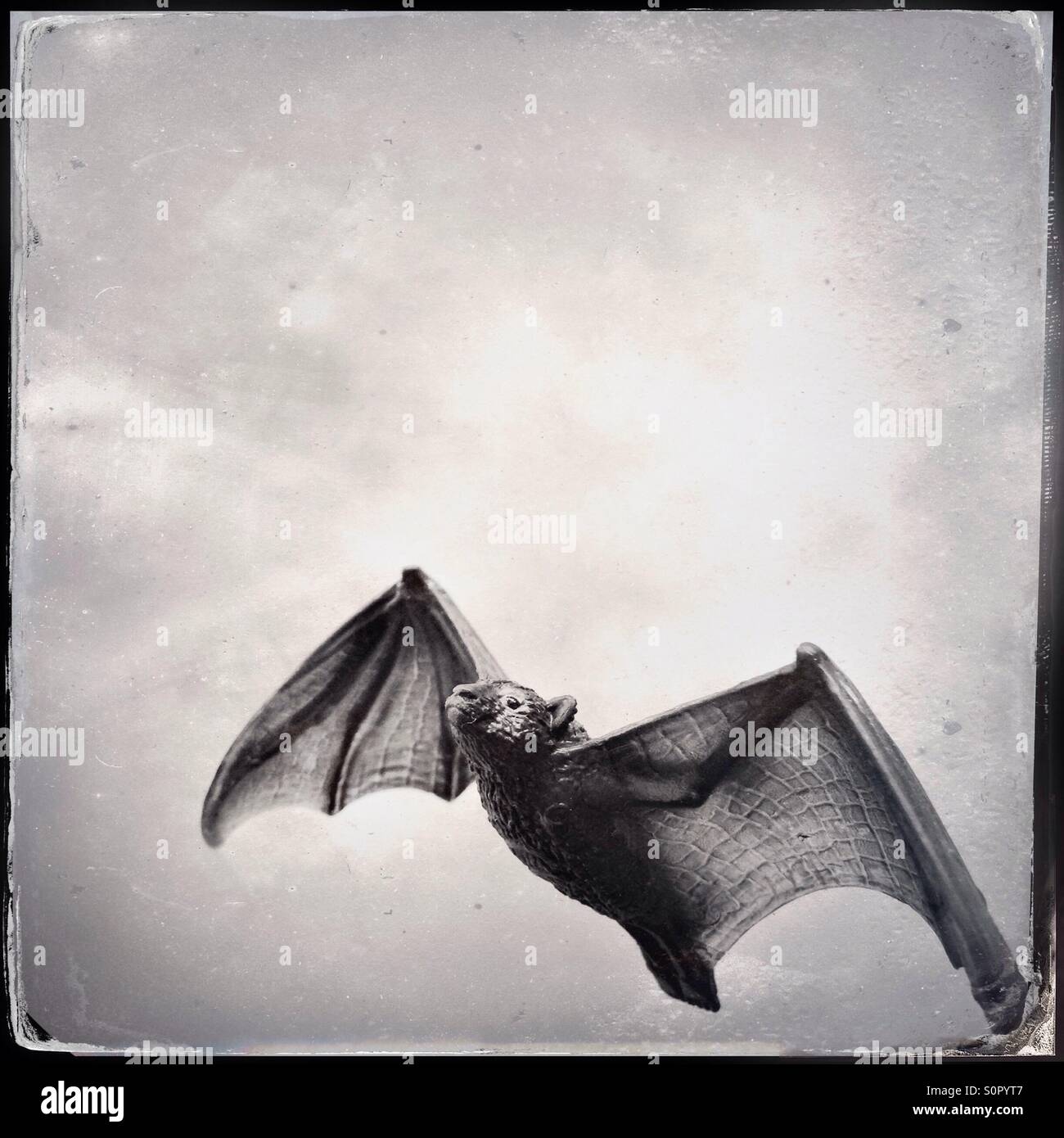 Giocattolo di plastica bat battenti - Immagine stock catturata con smartphone