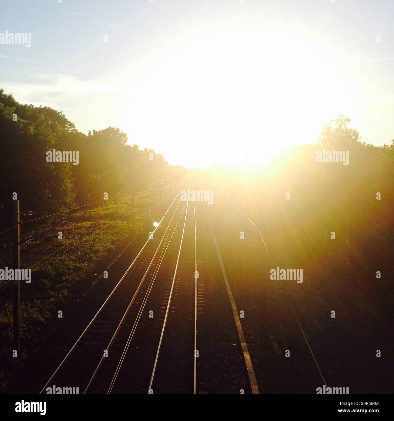 Linee ferroviarie nella giusta luce solare Foto Stock