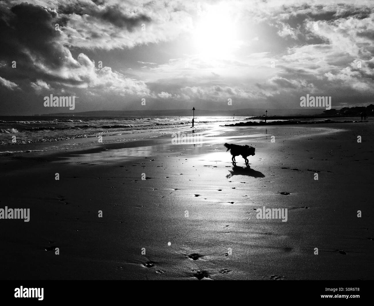 Scavare giocando sulla spiaggia in basso duro inverno sunshine - Immagine stock catturata con smartphone