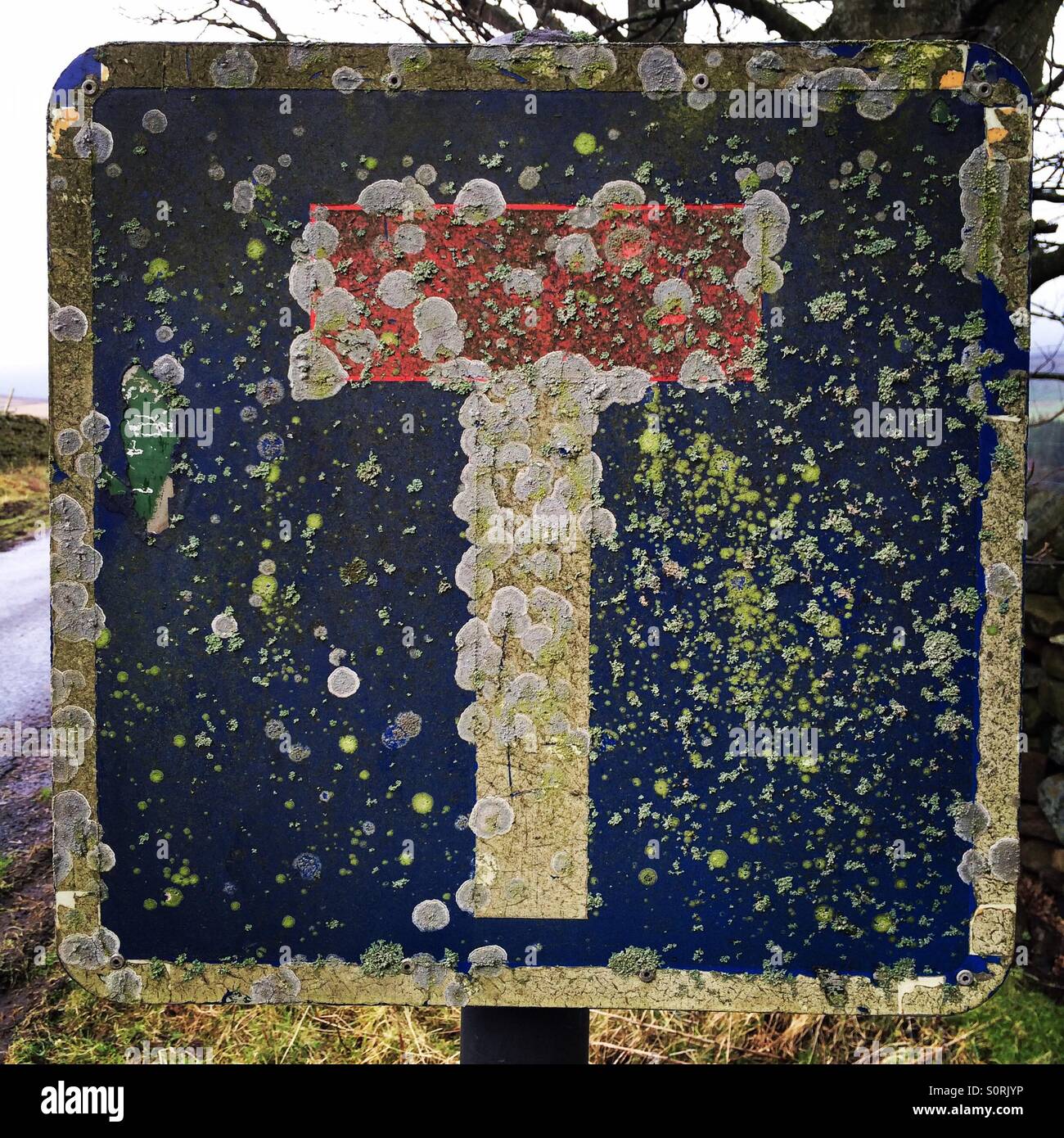 Un vecchio cartello stradale per una giunzione a T, coperte di licheni in Teesdale, UK. - Immagine stock catturata con smartphone