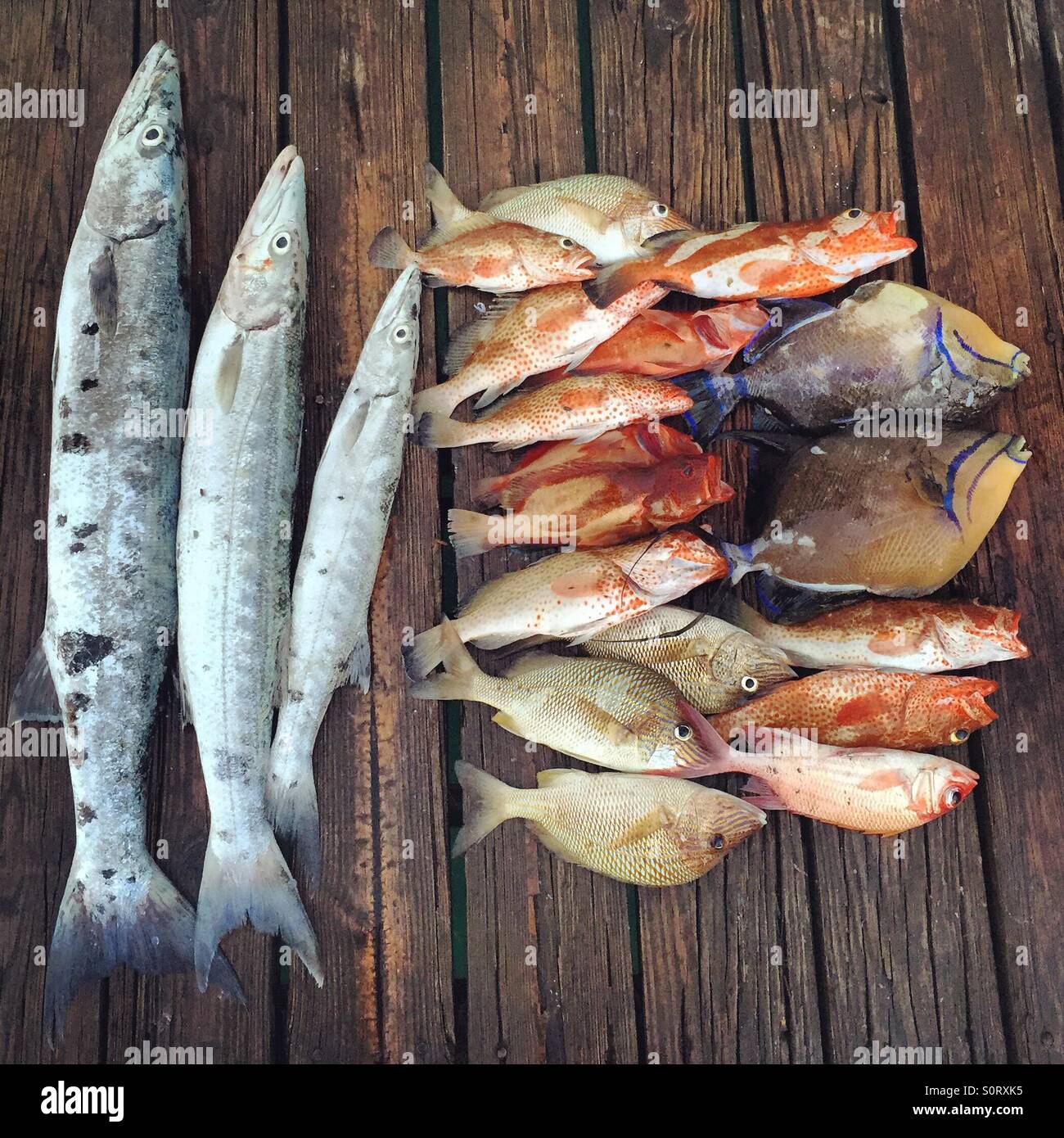 Una buona pesca! Foto Stock