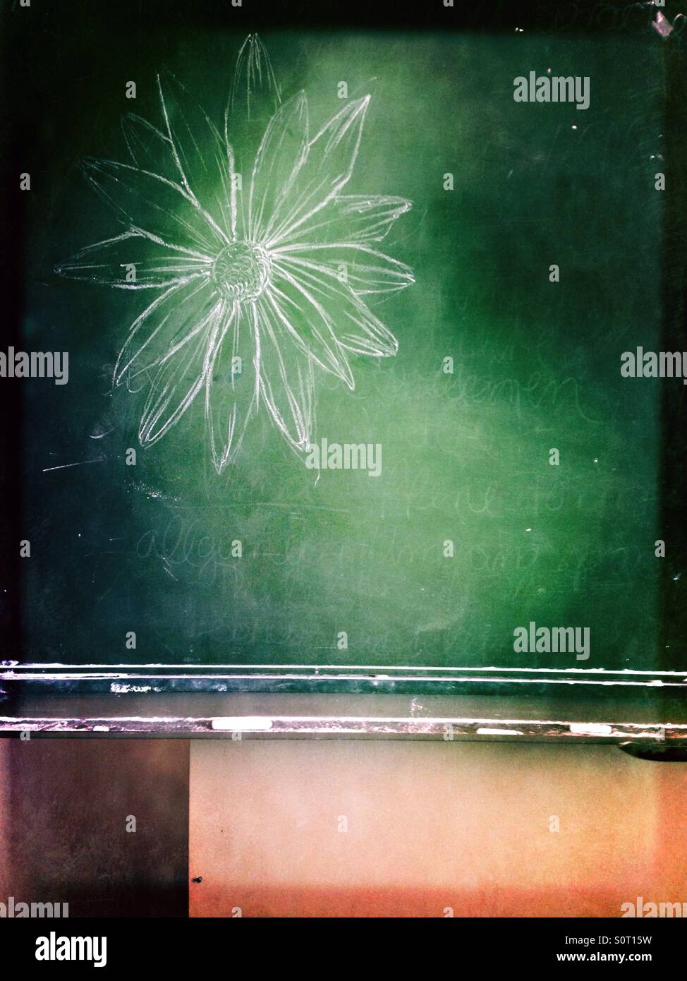 Disegno di fiori su un vecchio e usato lavagna verde presso una scuola Foto Stock