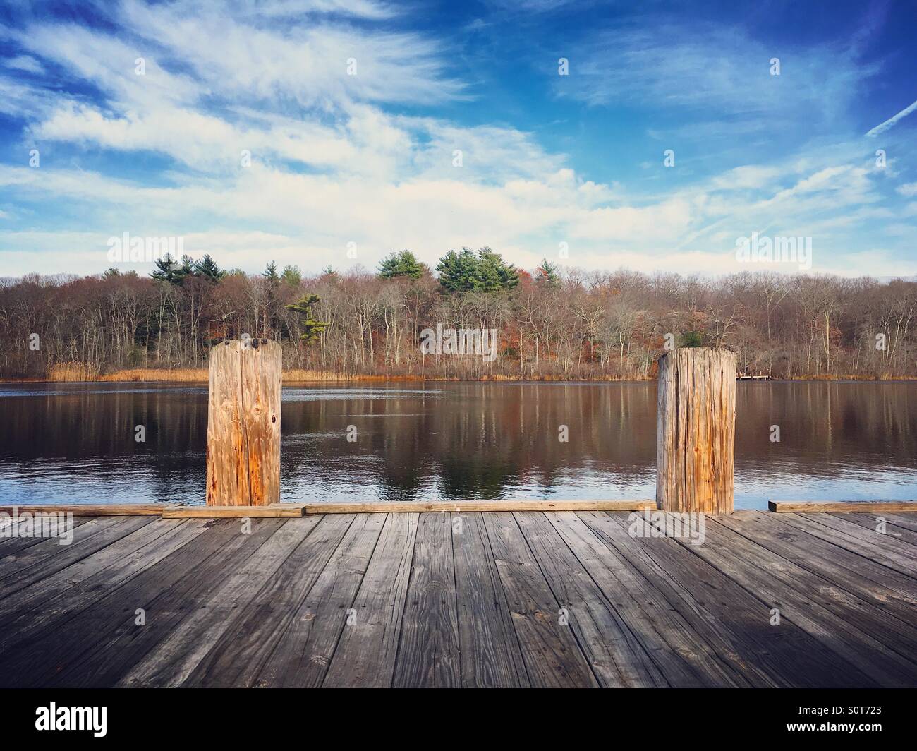 Lo stagno delle tartarughe in Dedham, Massachusetts. - Immagine stock catturata con smartphone