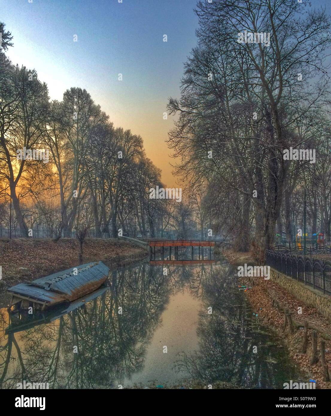 Bene ora d'oro nel Kashmir Foto Stock