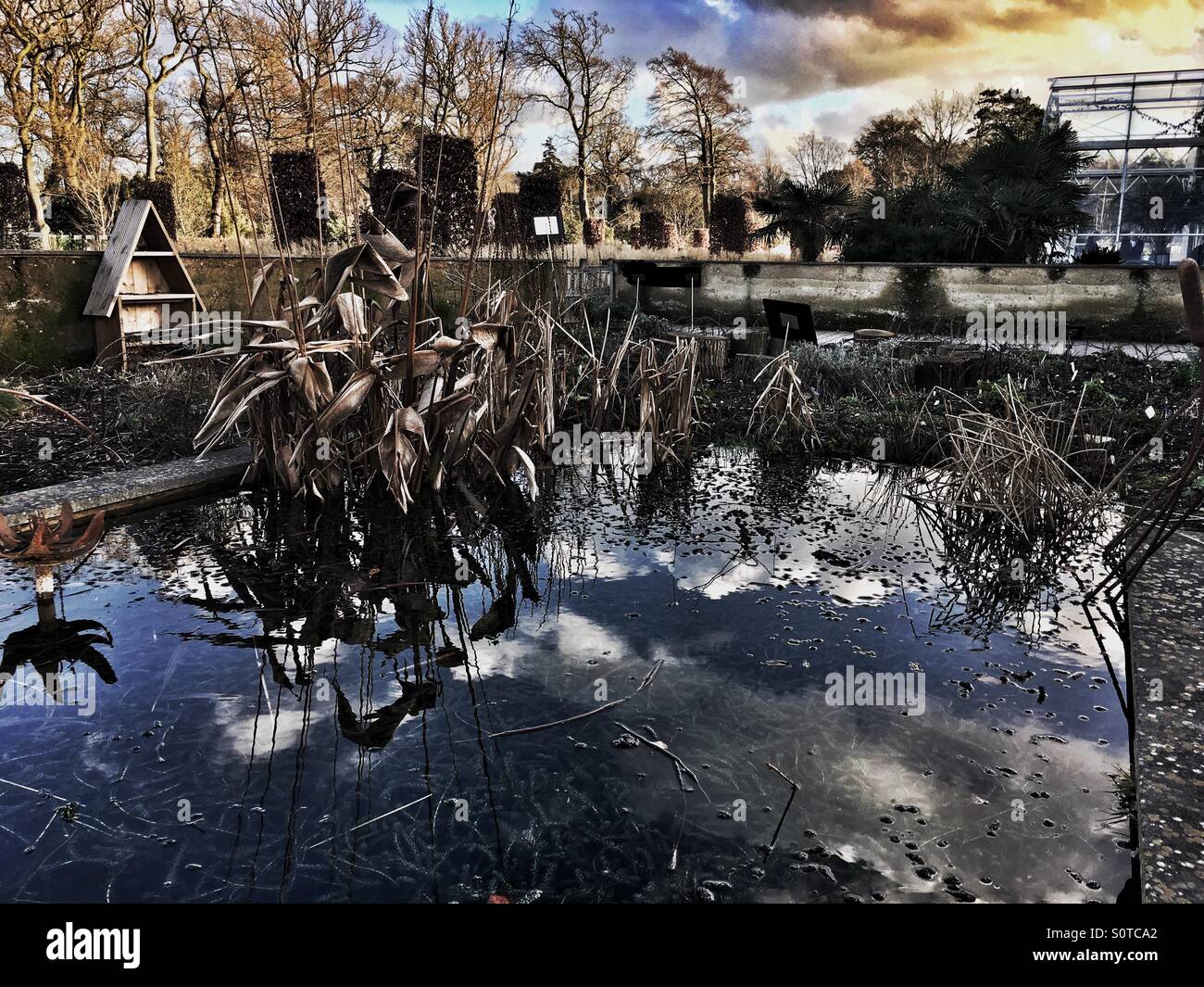 RHS Wisley Gardens Foto Stock