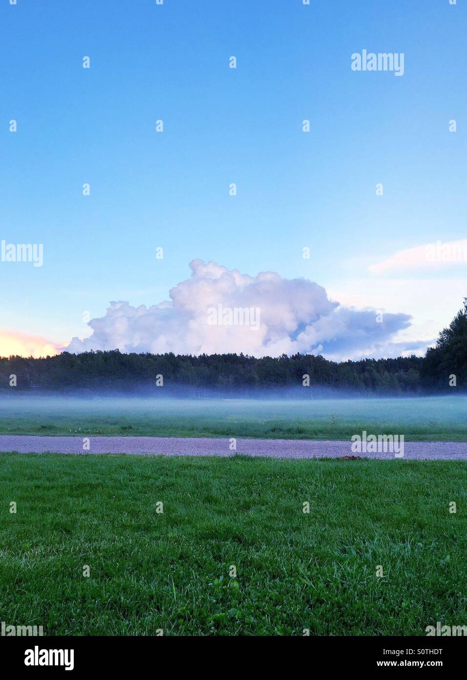 Nebbia di mattina al di sopra di un campo Foto Stock