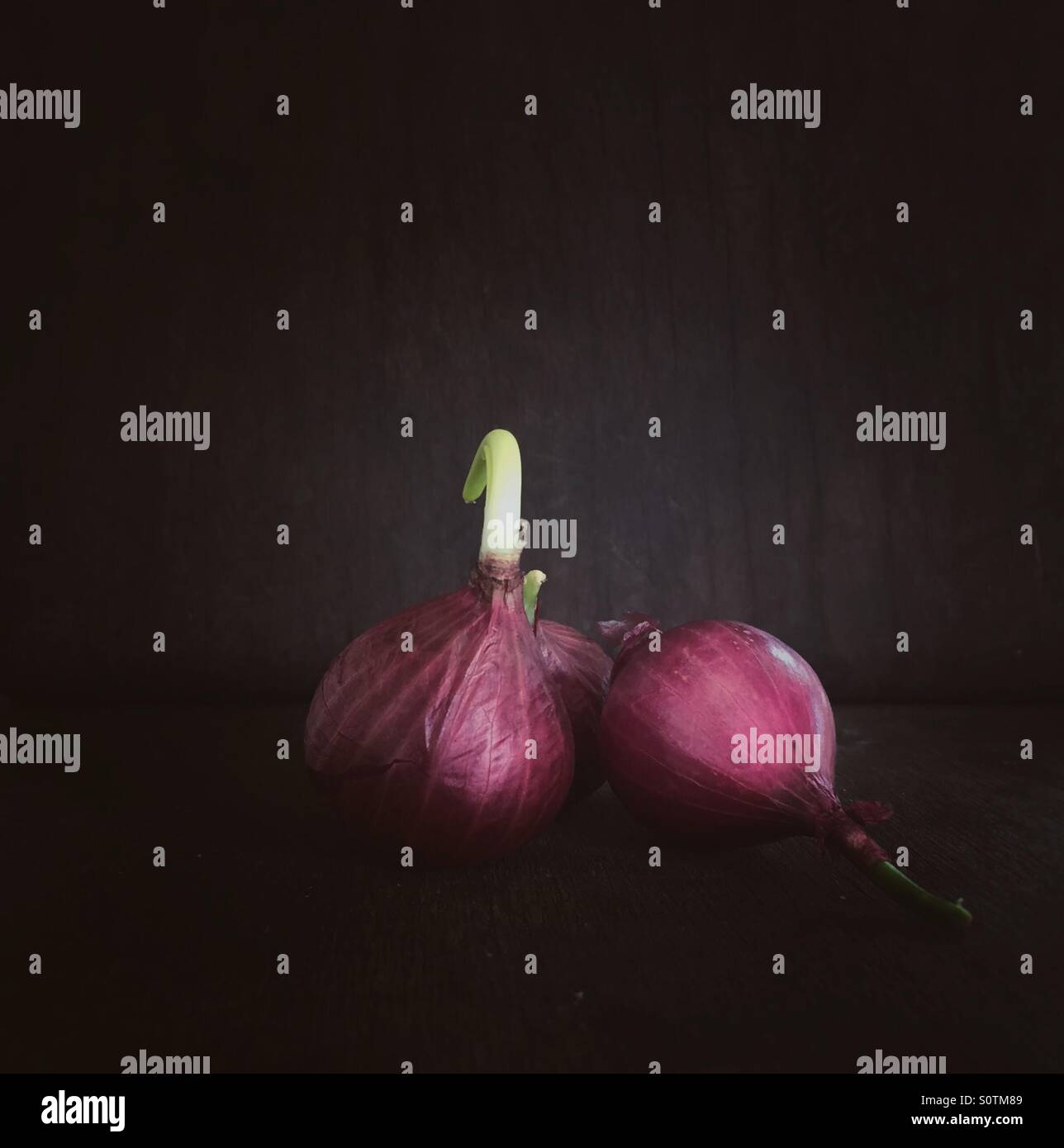 Cipolle - Immagine stock catturata con smartphone