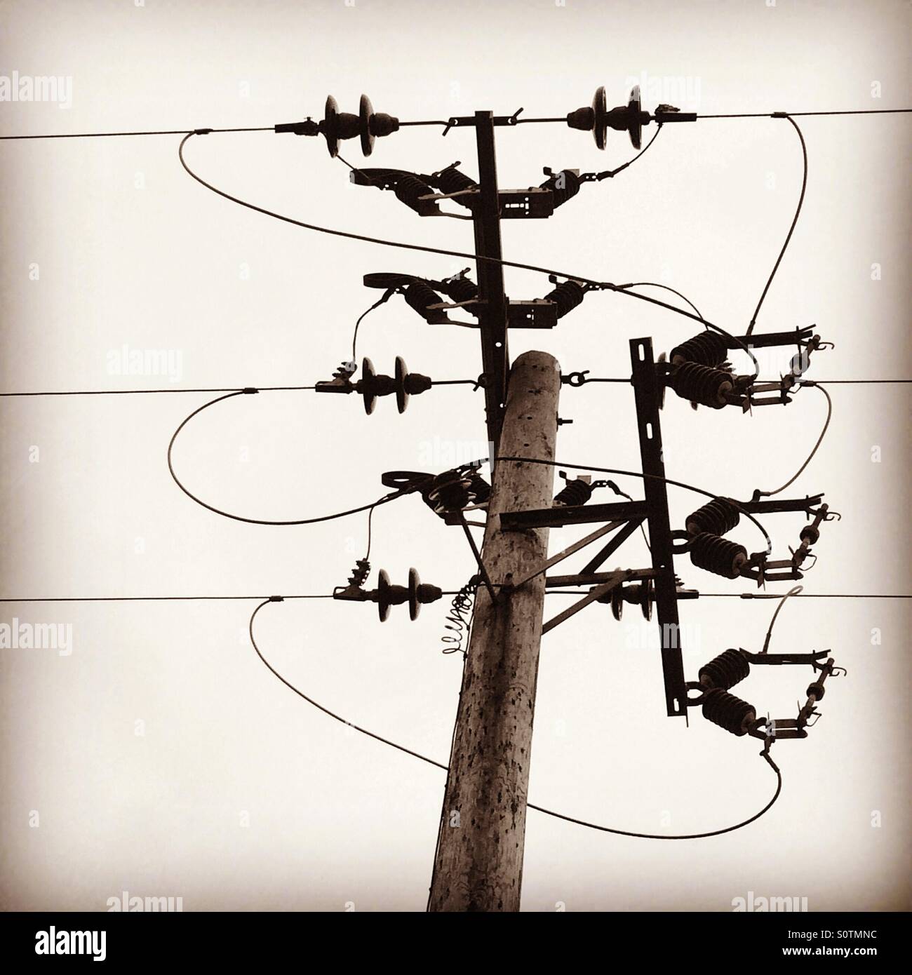 La trasmissione di energia elettrica i collegamenti dei cavi su un palo del telegrafo. Una sezione di rurali del Regno Unito National Grid rete di trasmissione di energia elettrica. Foto Stock