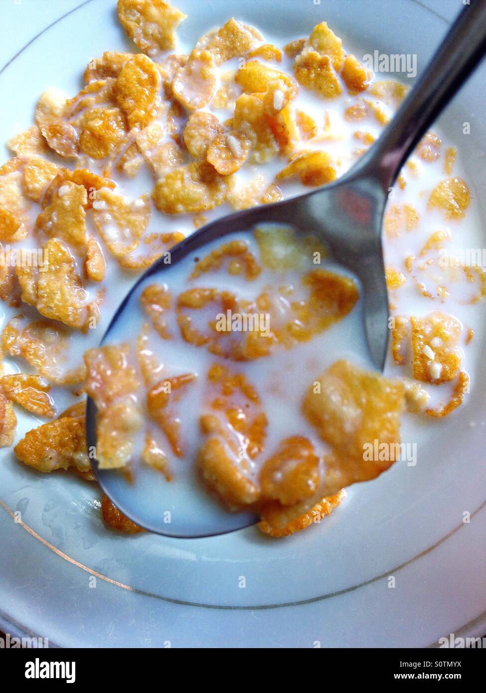 Ciotola di cornflake Foto Stock