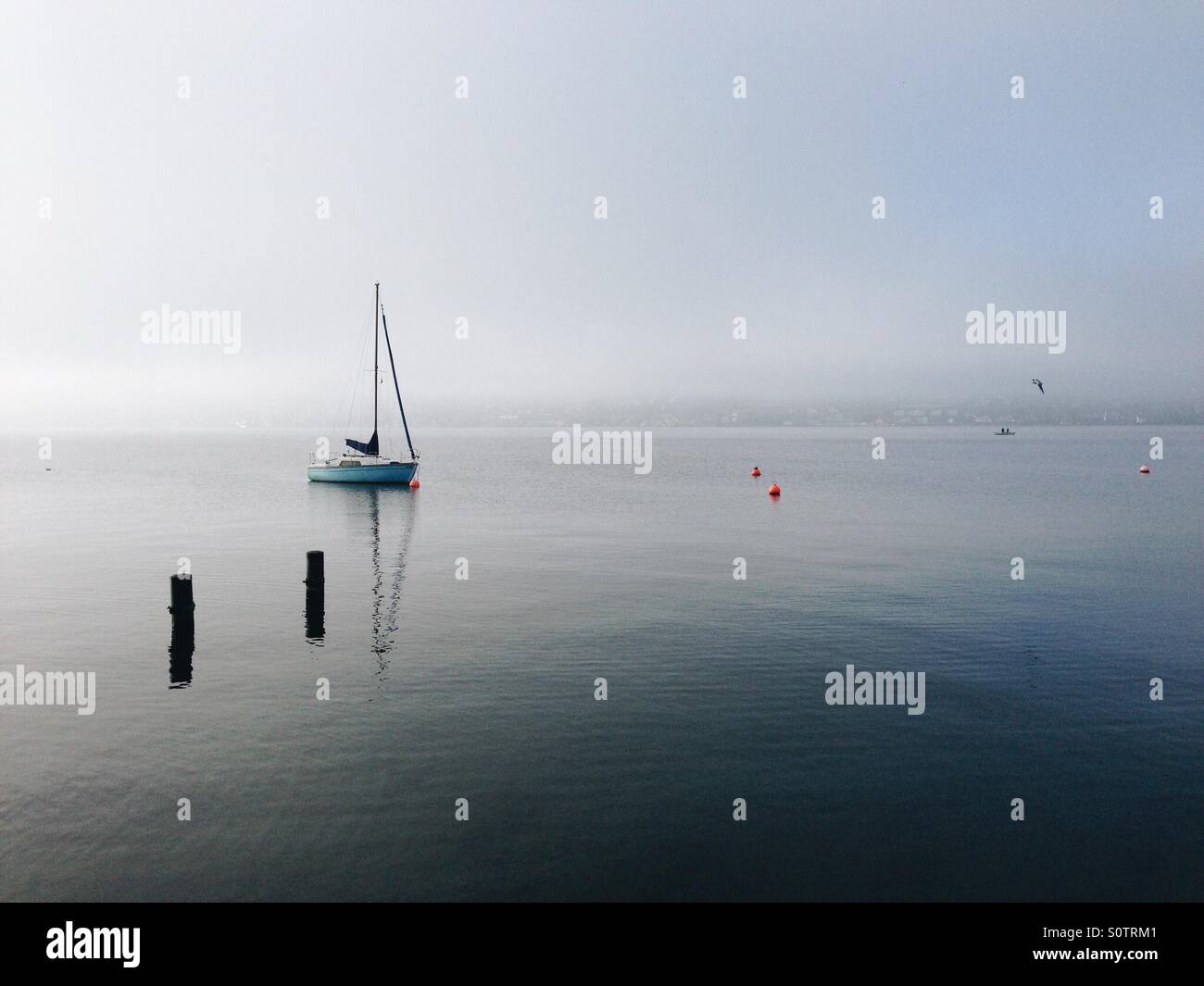 Mattinata tranquilla vicino al lago di Zurigo Foto Stock
