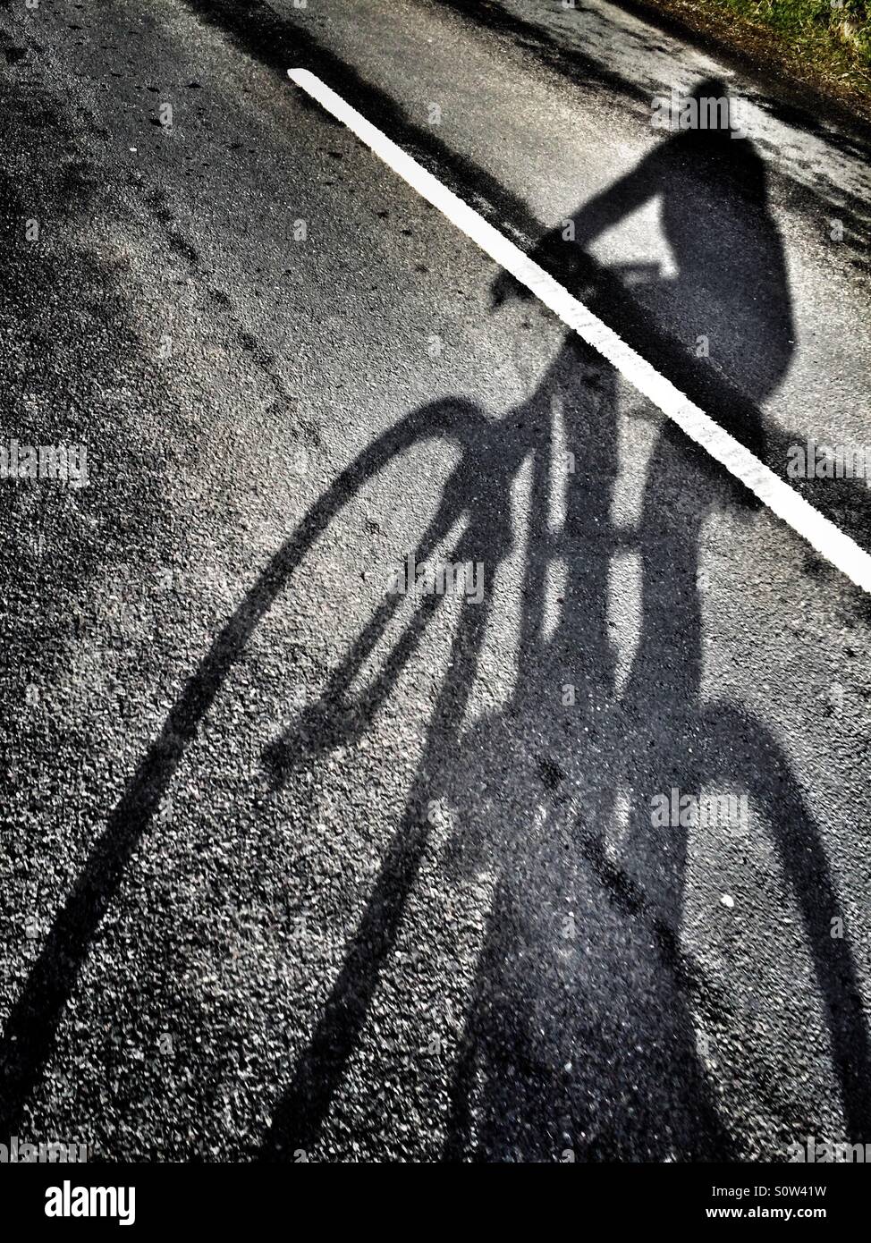 Ciclista ombra sulla strada Foto Stock