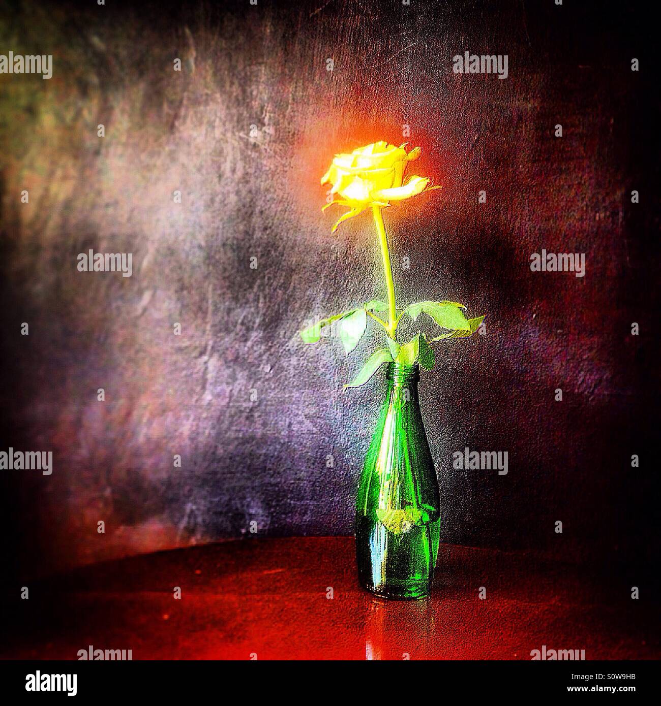 Un morto rose decora il capsicum negozio di cioccolato in Colonia Roma, Città del Messico, Messico Foto Stock