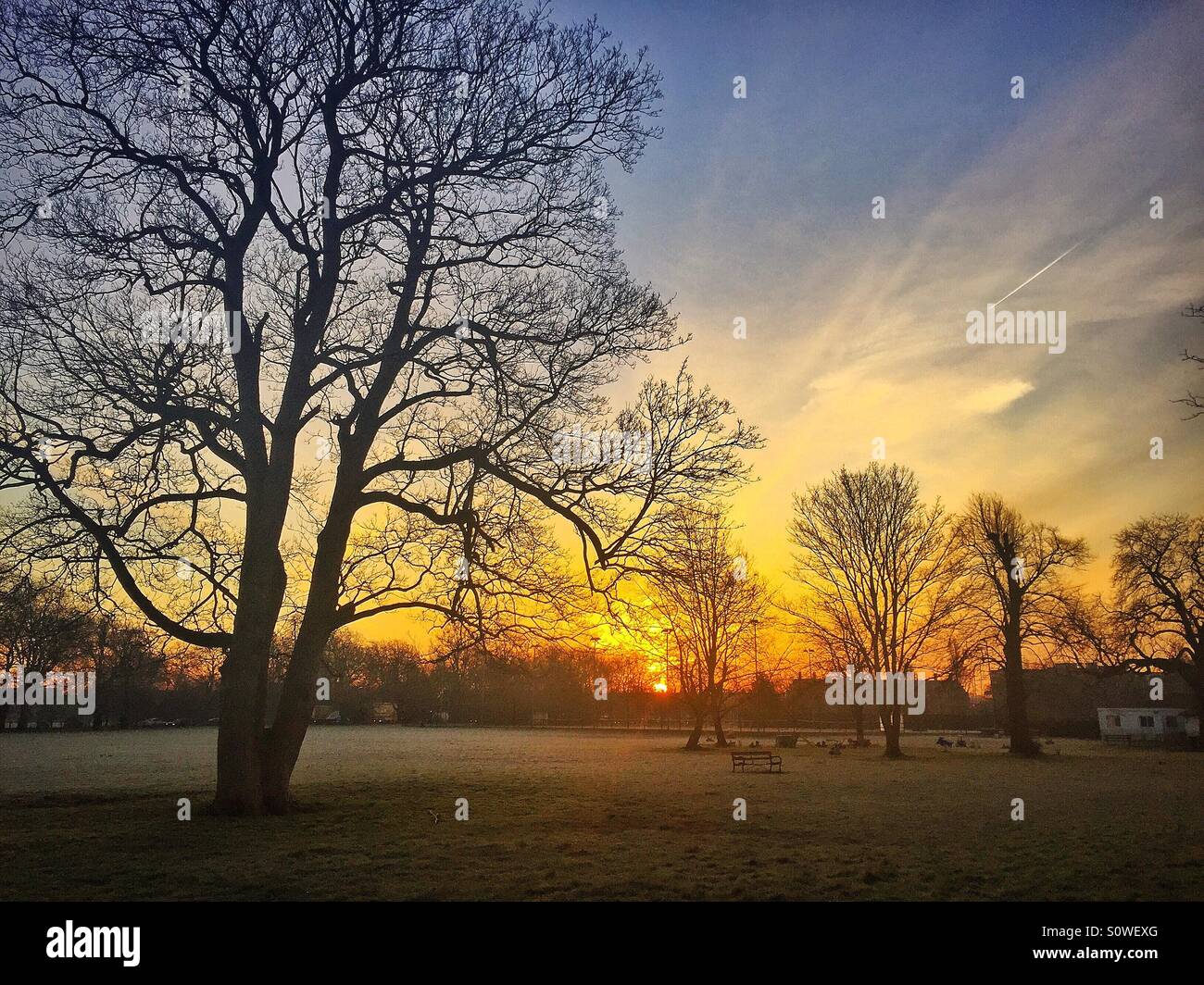 Inverno sunrise su Clapham Common a Londra Foto Stock