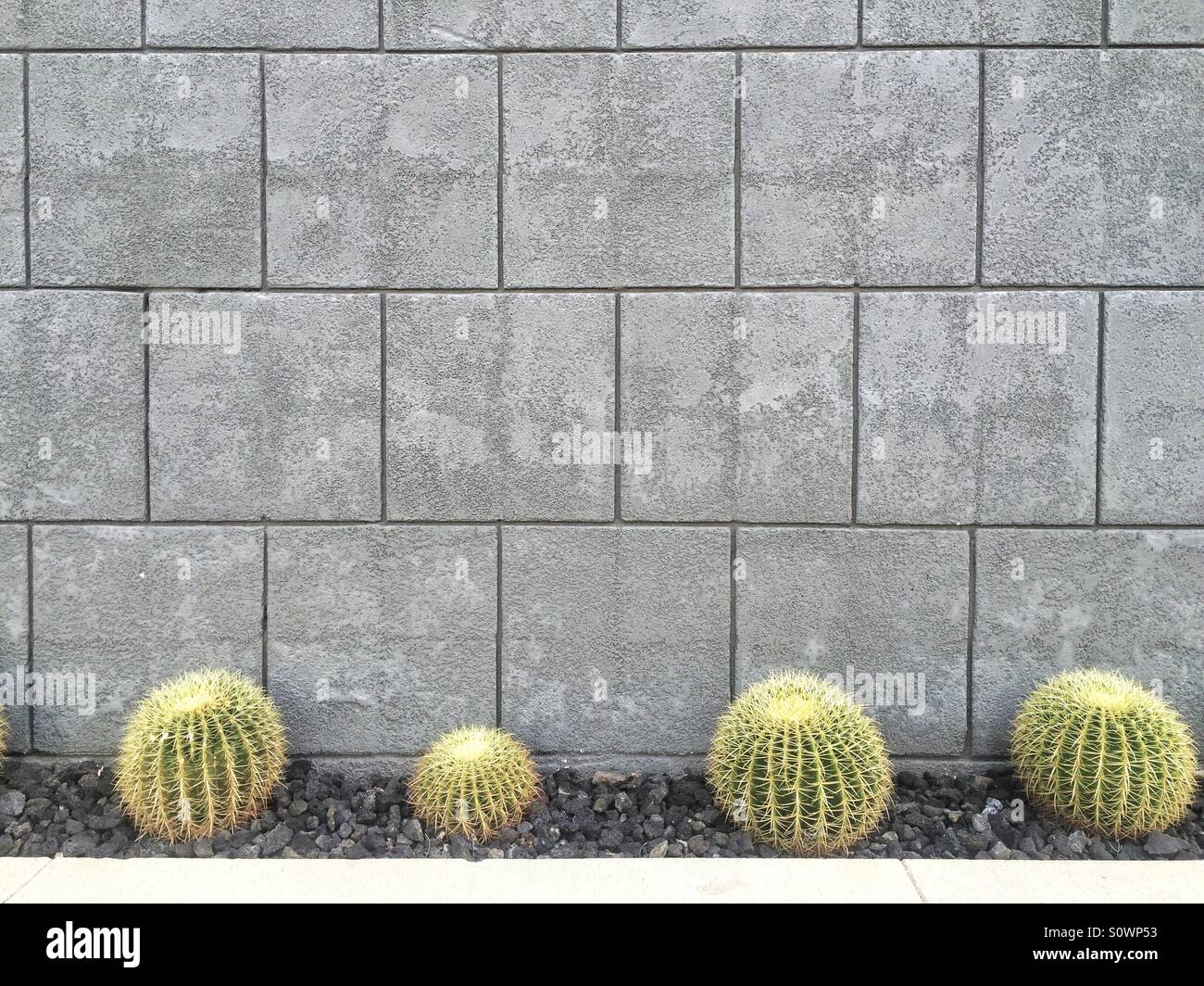 Il Cactus di fronte all edificio, Palm Springs, California Foto Stock