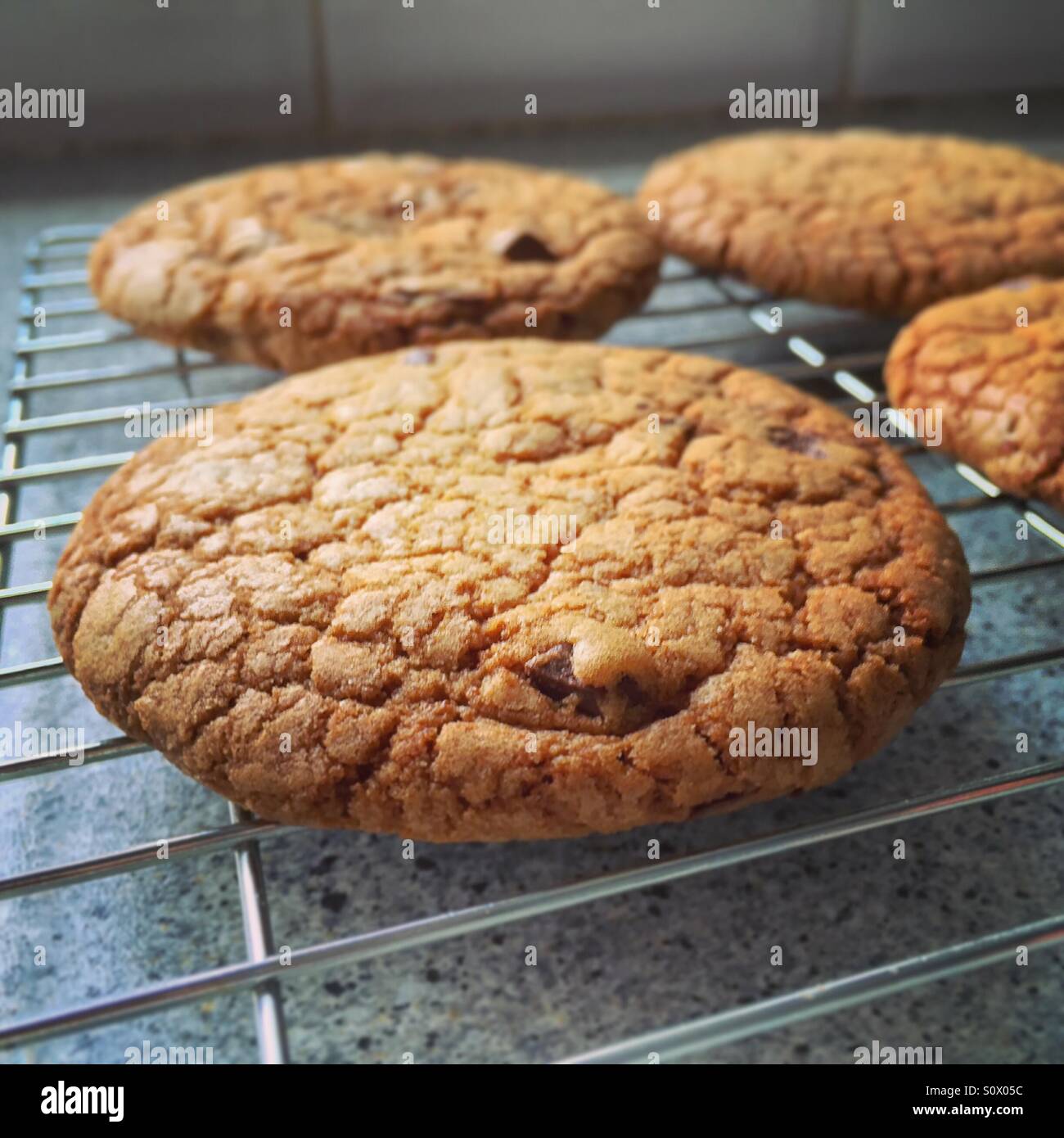 Cioccolato appena sfornati su di un raffreddamento per rack Foto Stock