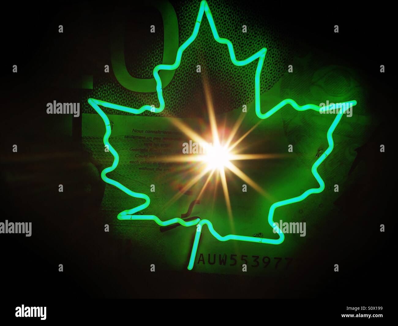 Sunburst in foglia verde Foto Stock