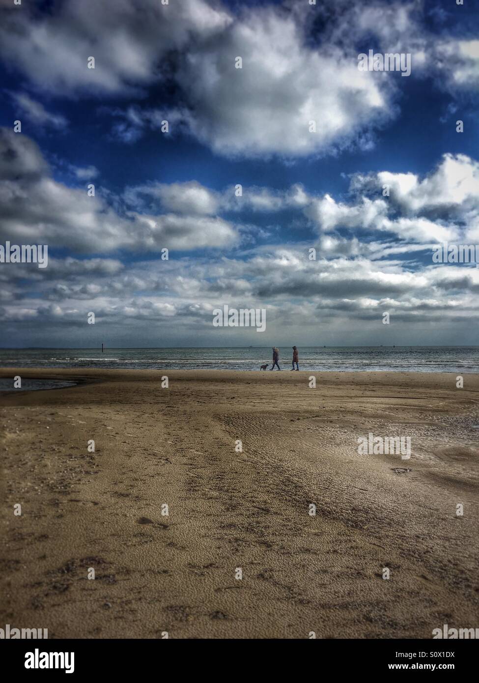 Due persone che camminano cane sulla spiaggia su una soleggiata giornata invernale - Immagine stock catturata con smartphone