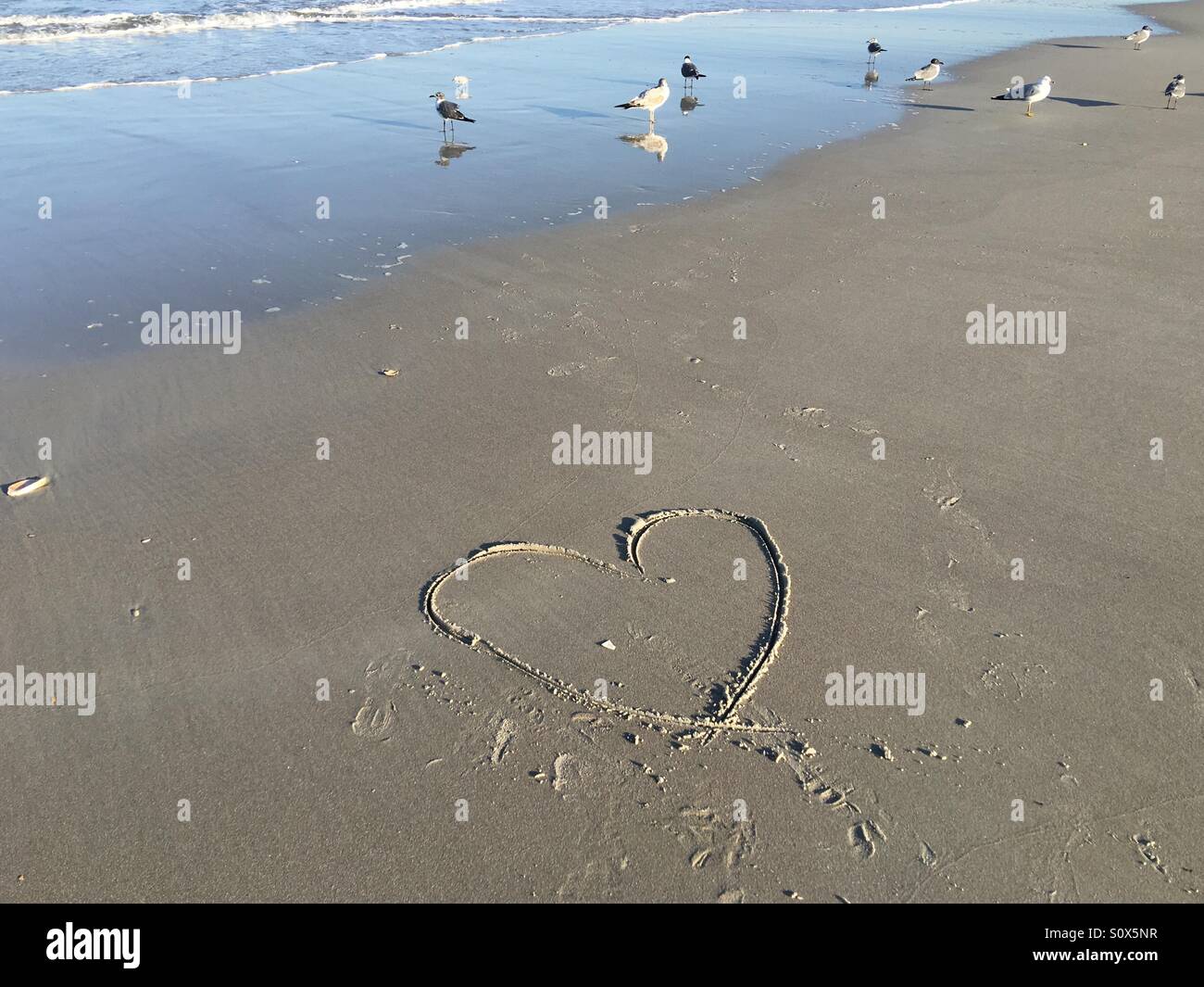 Cuore nella sabbia e ridere i gabbiani nell'oceano a Jacksonville Beach, FL, Stati Uniti d'America. - Immagine stock catturata con smartphone
