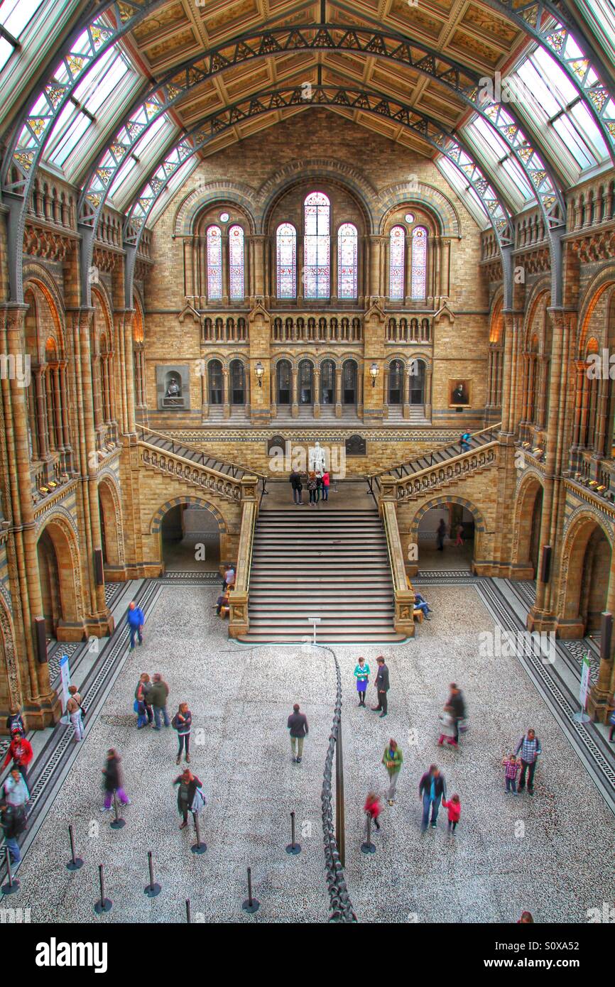 L'interno sala principale del Museo di Storia Naturale di Londra. Bella, ornato di architettura di Londra. Foto Stock