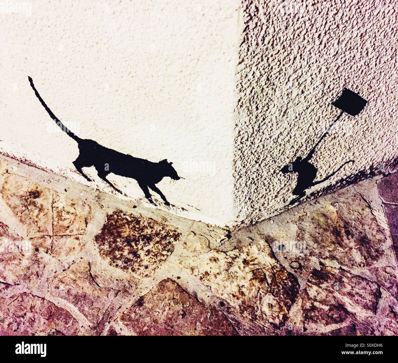 Disegno di un gatto e topo siluete su un muro bianco Foto Stock