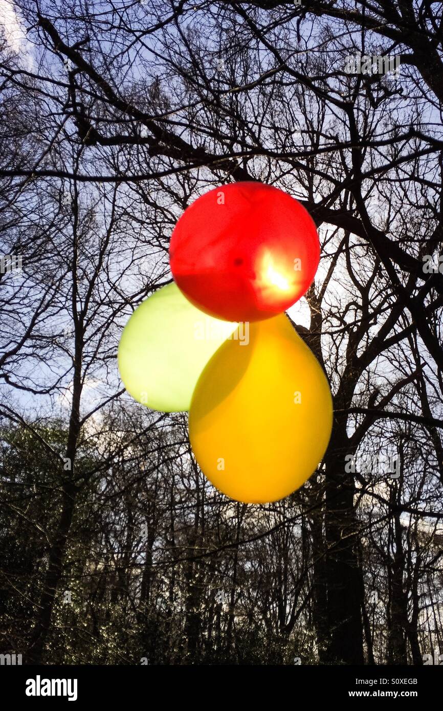 Palloncini in legno 1 - Immagine stock catturata con smartphone