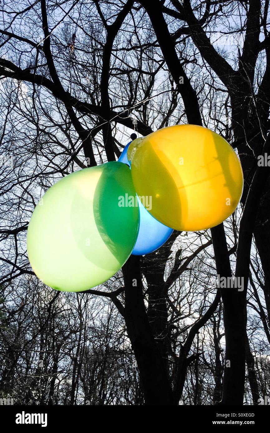 Palloncini nel bosco 2 - Immagine stock catturata con smartphone