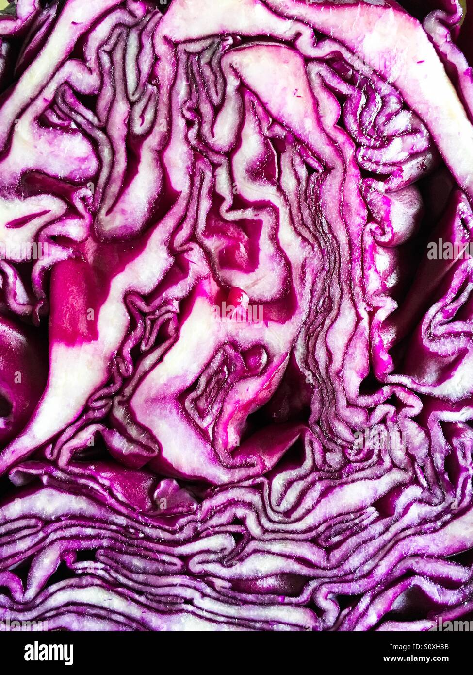 Superficie di taglio di un cavolo rosso come sfondo - Immagine stock catturata con smartphone
