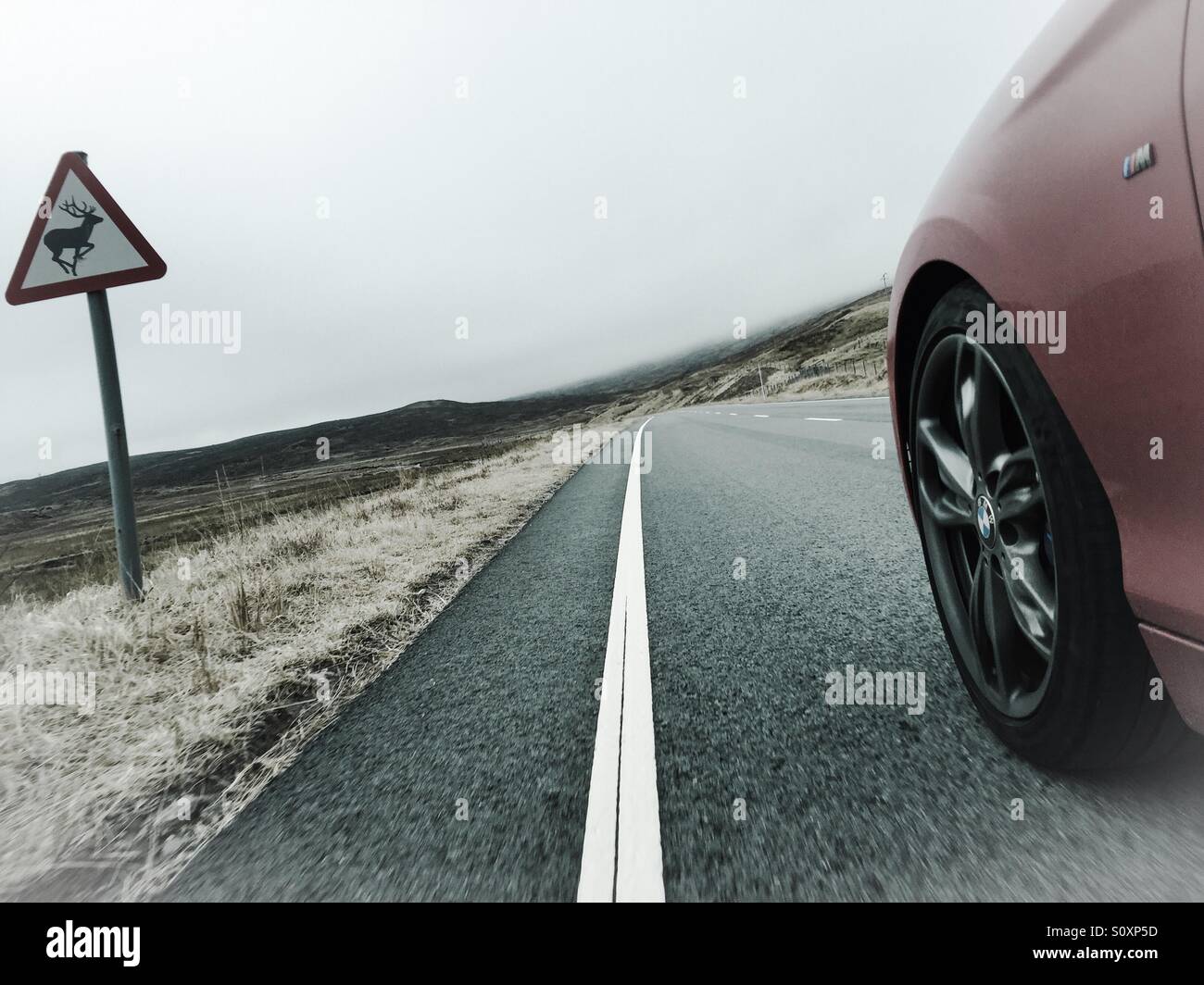 Auto sportiva alla guida di una veloce remote Scottish country road, guardatevi di cervo segno. Azione di bordo shot - Immagine stock catturata con smartphone