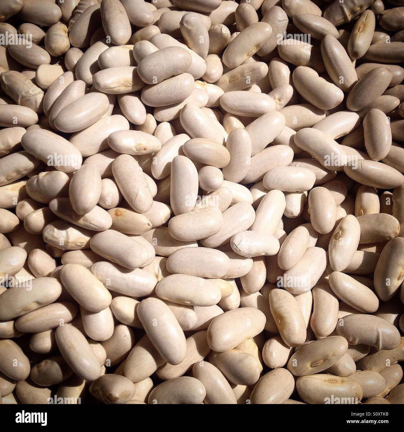 Fagioli bianchi in vendita a Astorga, Maragateria, Leon, Spagna - Immagine stock catturata con smartphone