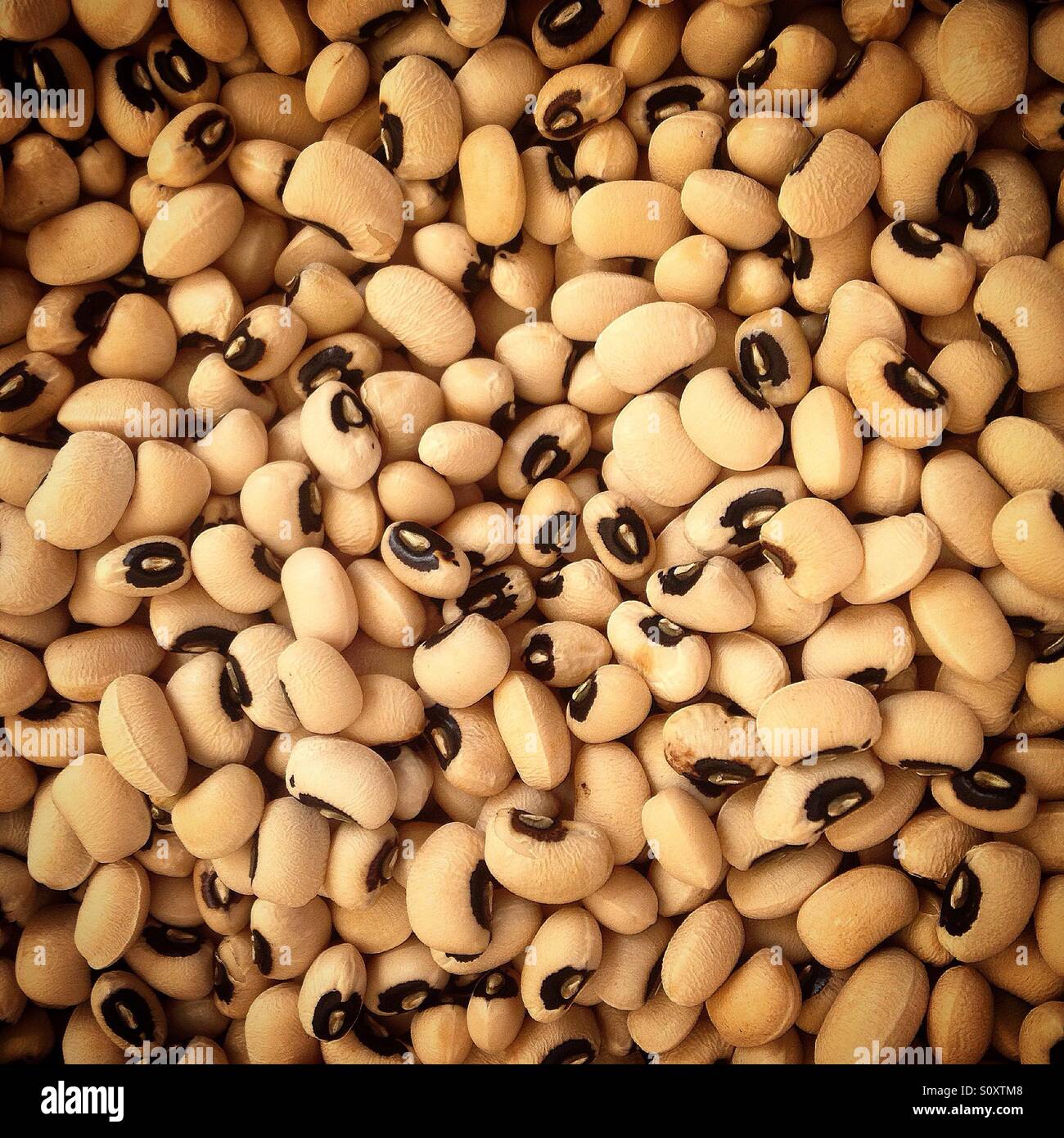 Fagioli bianchi in vendita in un mercato di strada a Astorga, Maragateria, Leon, Spagna - Immagine stock catturata con smartphone