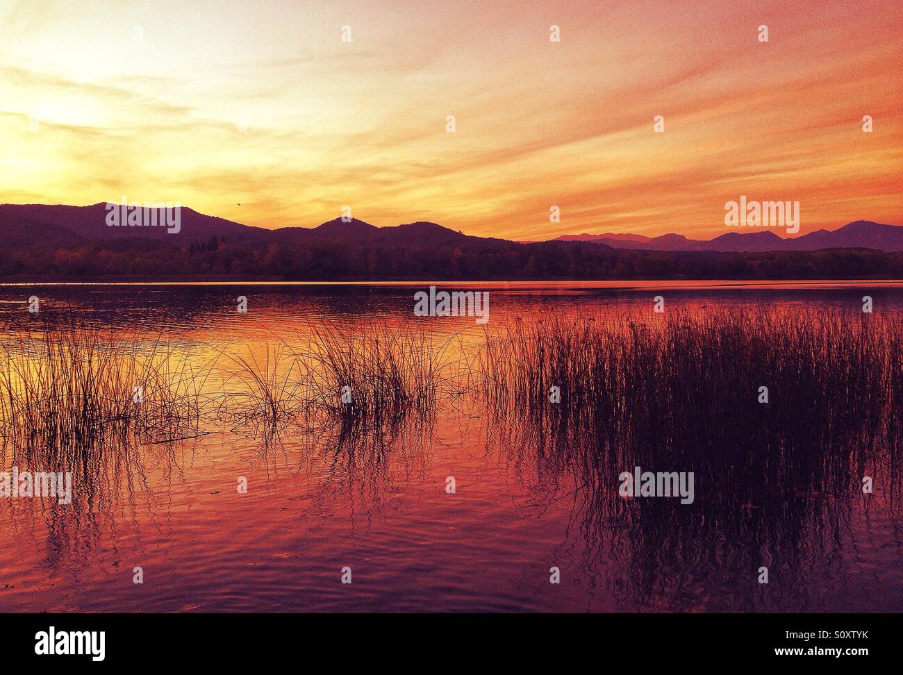 Tramonto sul lago di Banyoles in Girona, Spagna - Immagine stock catturata con smartphone