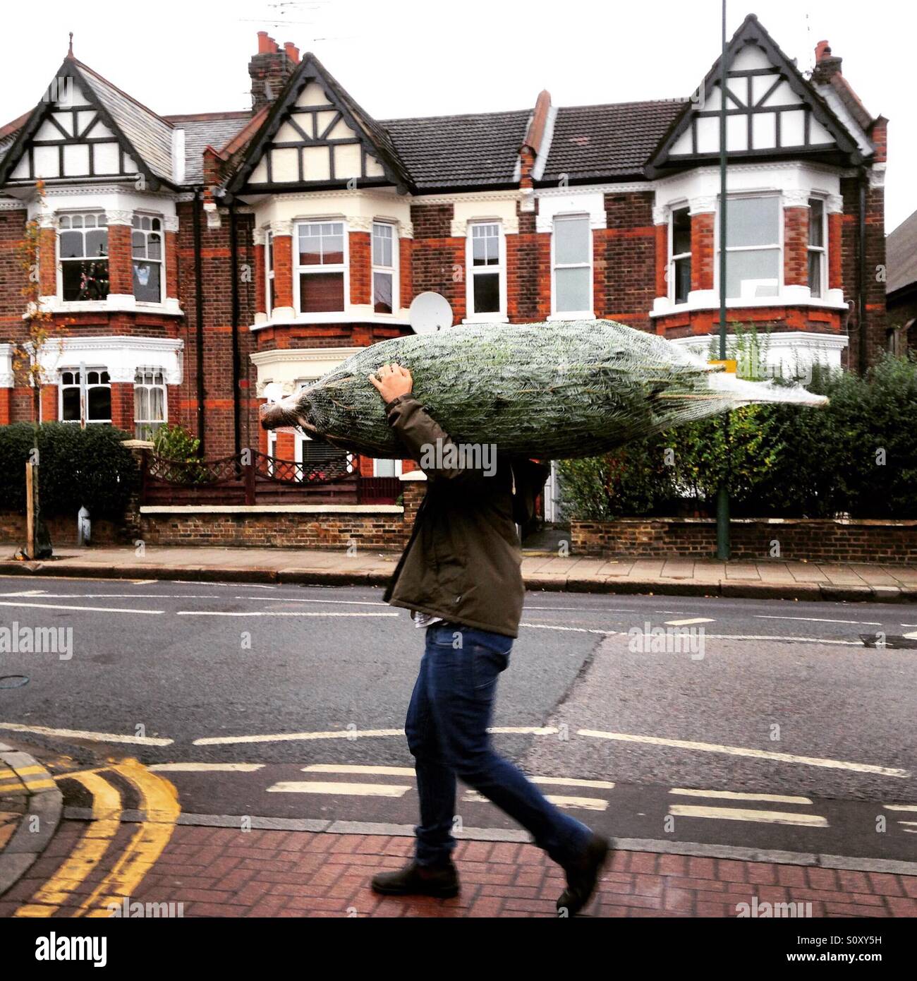 Un uomo porta un albero di Natale giù per una strada di Londra Foto Stock