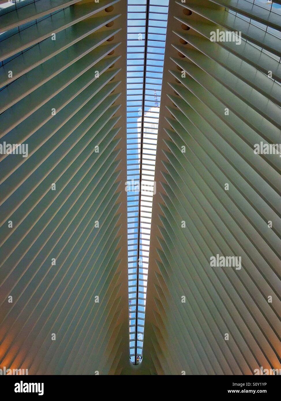 L'occhio al World Trade Center hub di trasporto è costituita da acciaio bianco nervature e la Freedom Tower è visibile attraverso il tetto, New York City, Stati Uniti d'America Foto Stock