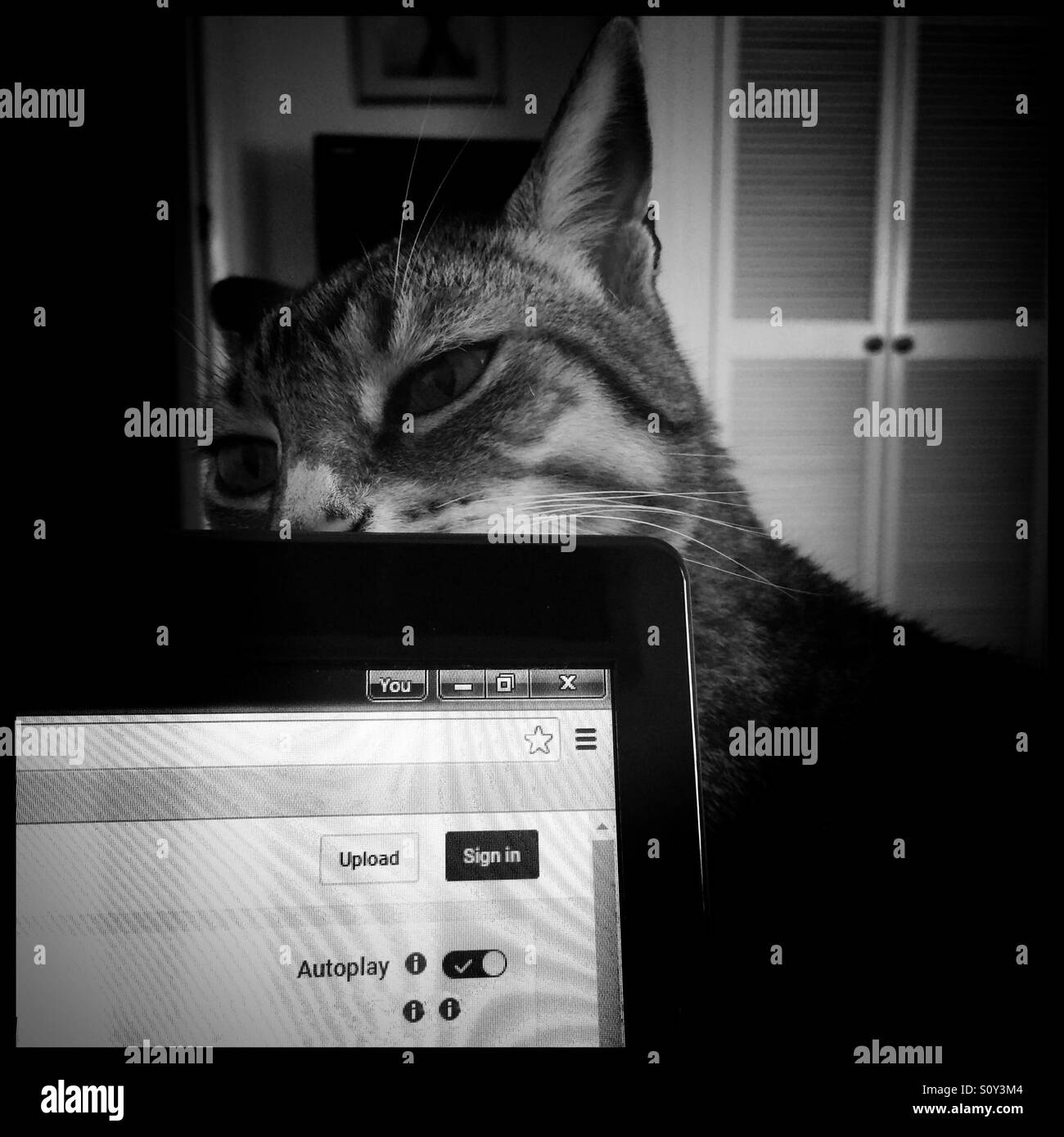 Auto il peering su laptop. Foto Stock