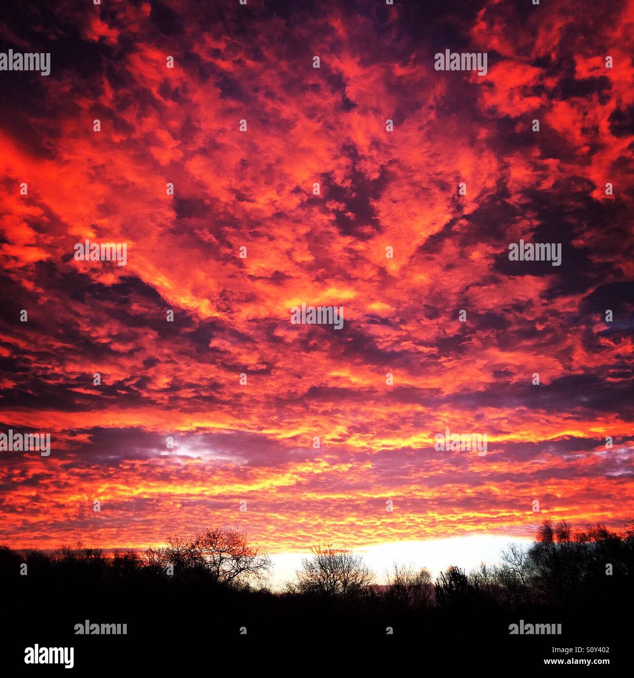 Red skies sunrise Wimbledon Common, Londra Foto Stock