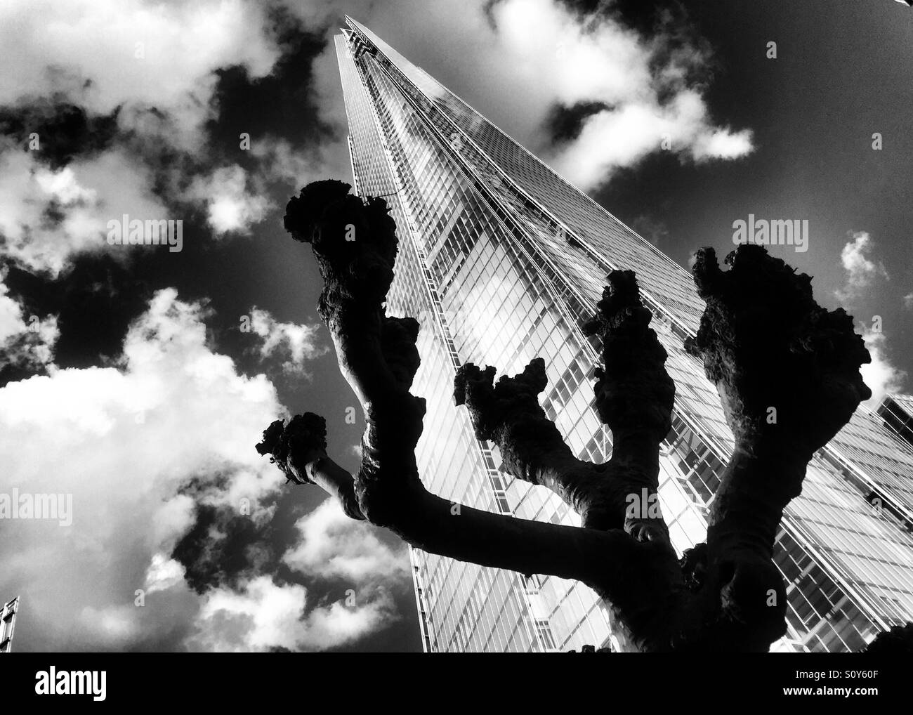 La shard, drammatica nuvole e un taglio di alberi di Londra. U.K. Foto Stock