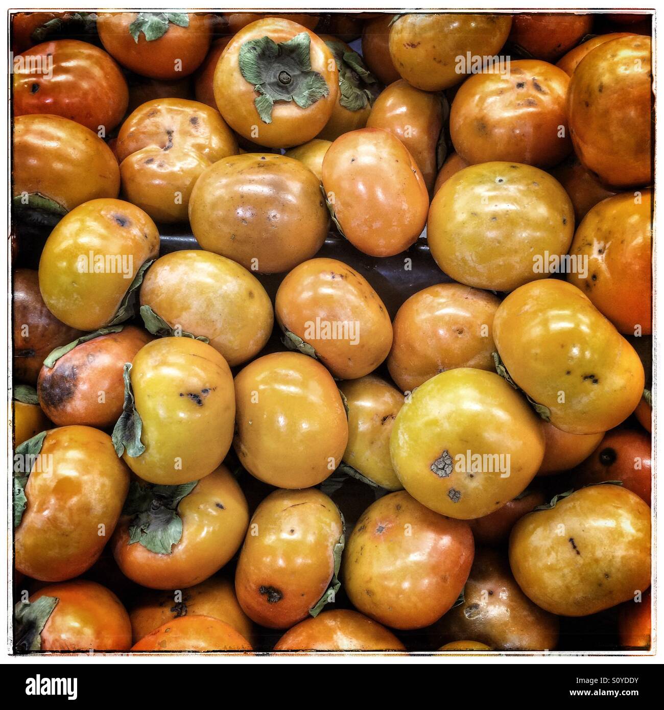 Cachi. - Immagine stock catturata con smartphone