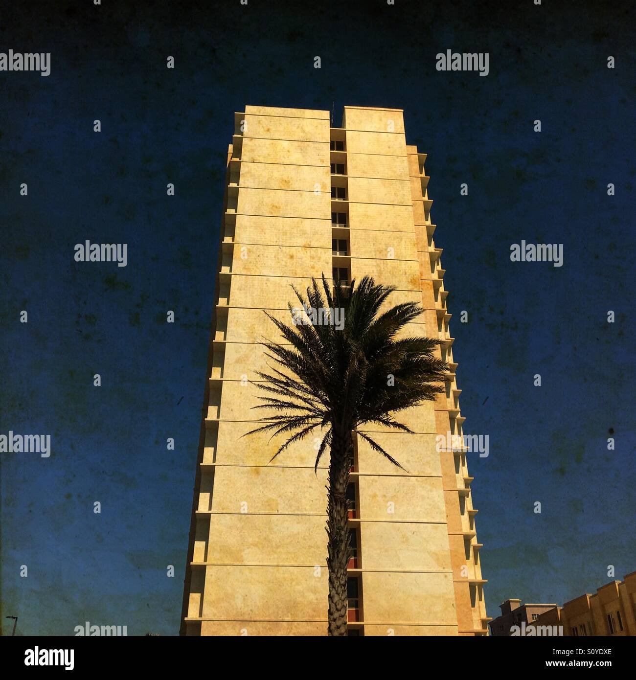 Palm Tree e edificio, Spiaggia di Jacksonville, Florida, Stati Uniti d'America. - Immagine stock catturata con smartphone