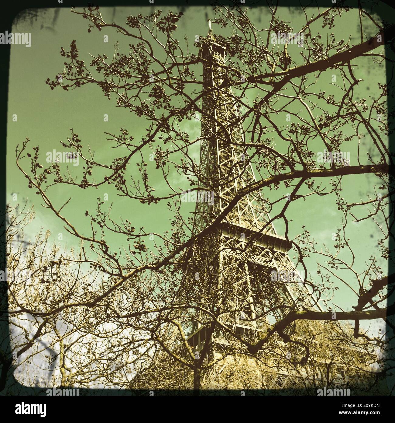 La Torre Eiffel a Parigi, Francia. Foto Stock