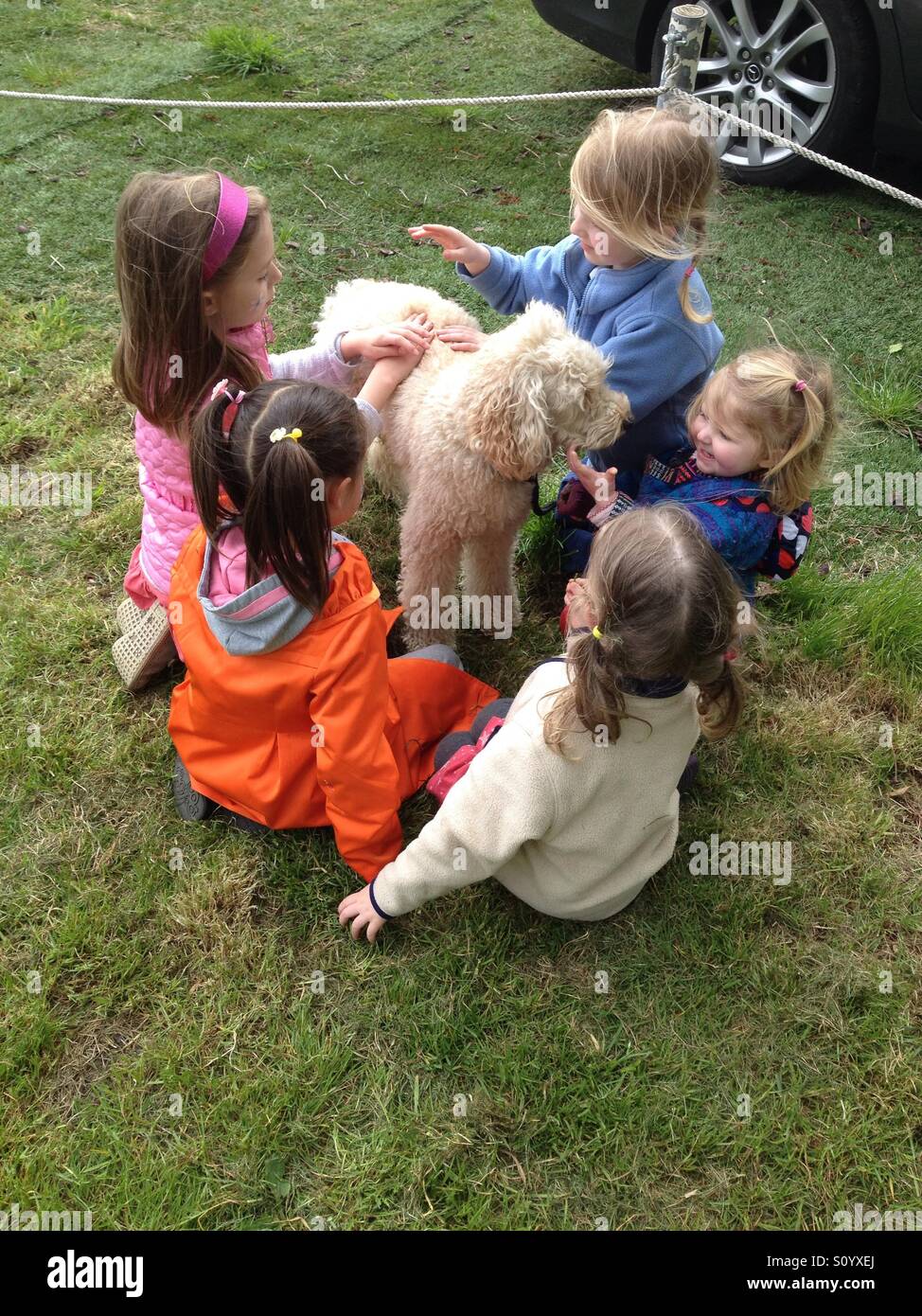 Cinque giovani ragazze ragazza bambini kids accarezzare e coccolare un simpatico cane. Regno Unito Foto Stock