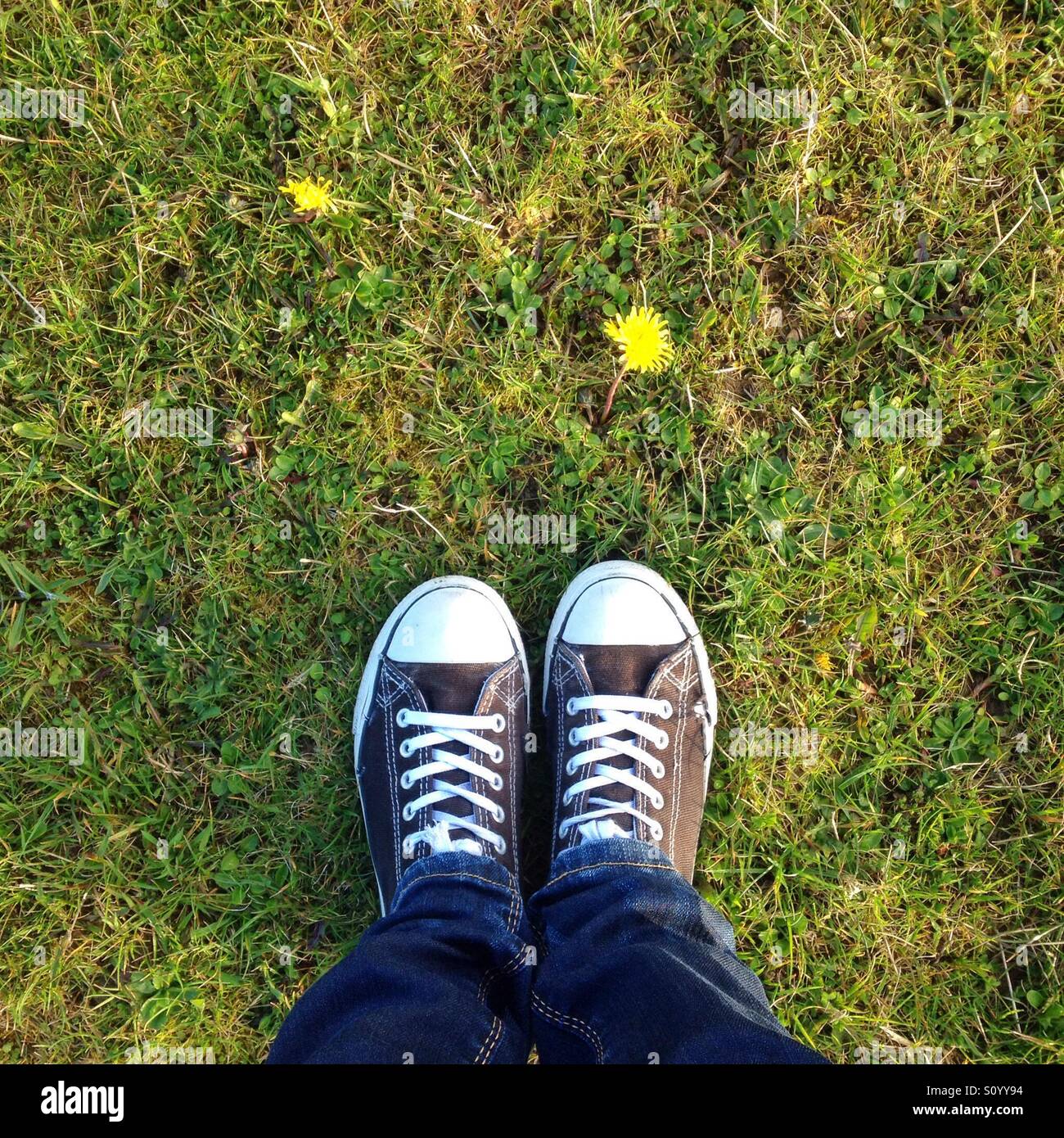 Primi segni di primavera, vista di piedi sull'erba Foto Stock