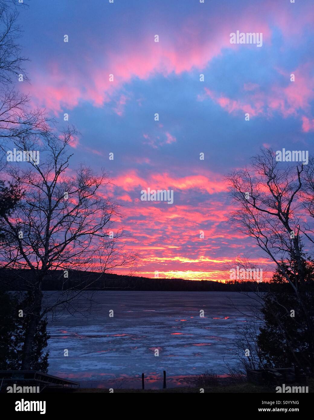 Rosa cielo di notte, marinai delizia. Nuvole rosa riflettendo sulle piscine di acqua sulla parte superiore del ghiaccio su a nord del lago di Maine in maggio. Foto Stock