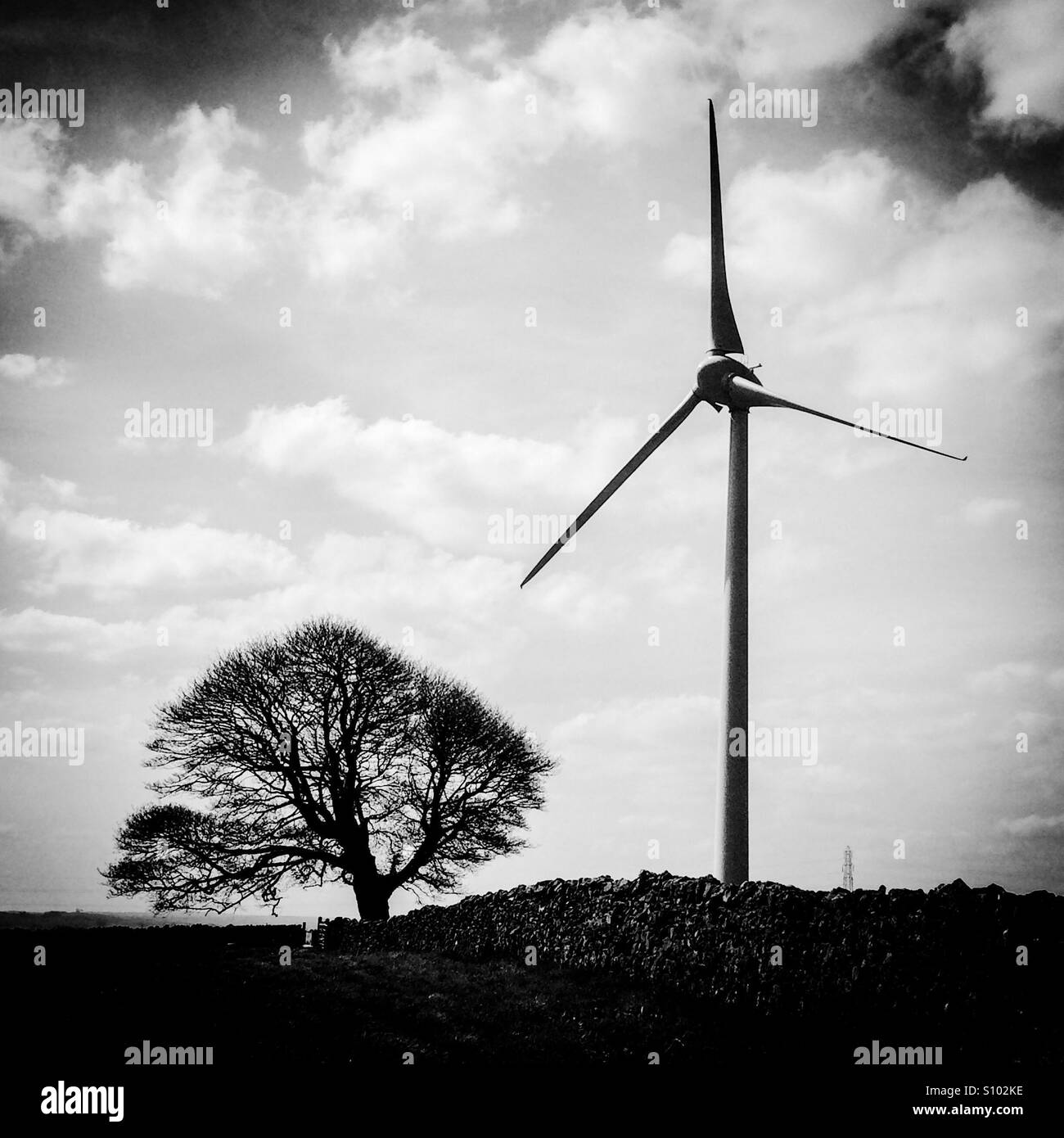 Turbina eolica e albero stagliano contro il cielo Foto Stock