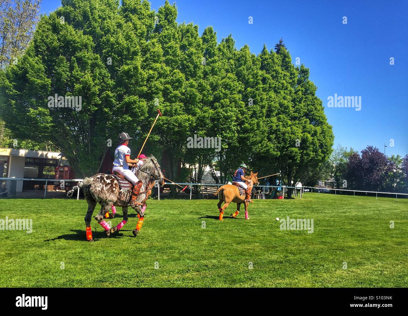 Giocatori di Polo Hippodrome Lyon Francia - Immagine stock catturata con smartphone